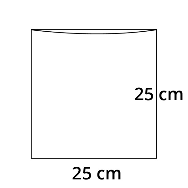 PP sáček plochý bez RZ - 25 x 25 cm - 30 my (100 ks/bal)