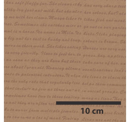Kraftový papír 60 cm x 10 m, 50 g - Lines I. (1 ks)